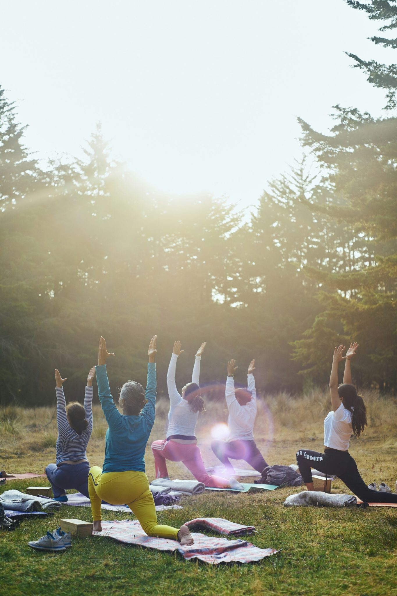 Séance collective d’étirements dans un parc